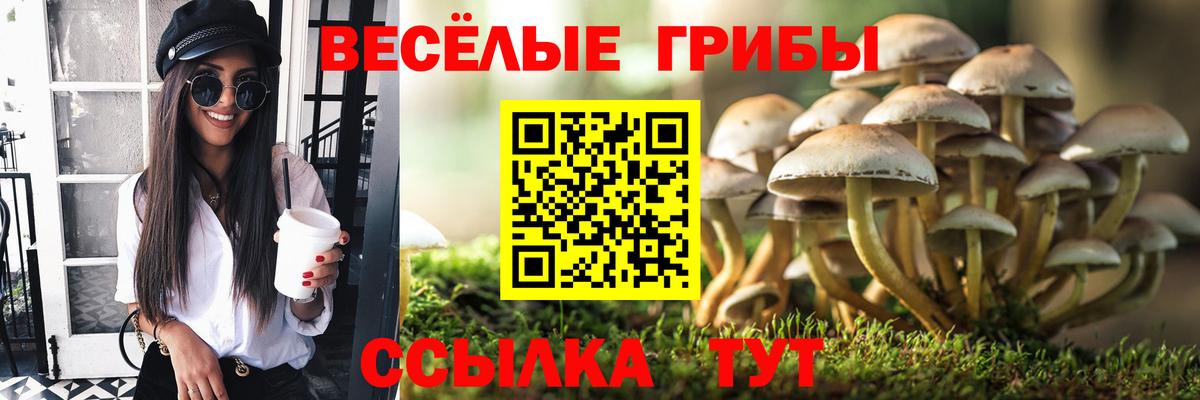Псилоцибиновые грибы MAGIC MUSHROOMS  Вход с VPN  Галлюциногенные грибы GOLDEN TEACHER  Нововоронеж 
